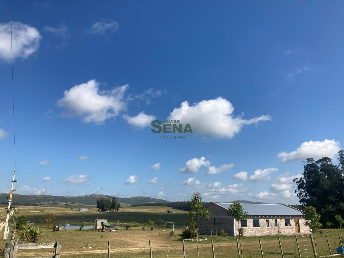 Venta de chacra san carlos, con casa para vivir cerca de la ciudad. - GoPunta - Portal Inmobiliario de Punta del Este - Maldonado