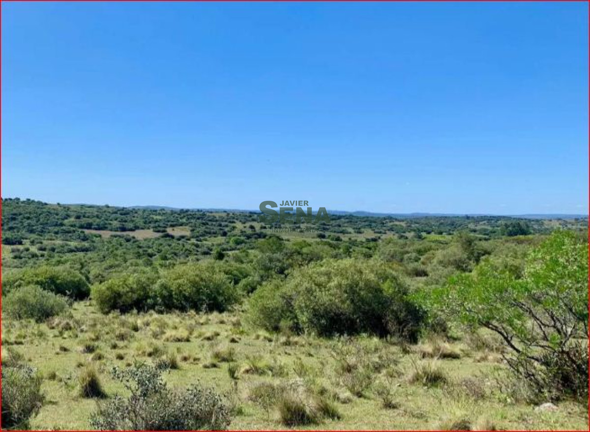 Aiguá - GoPunta - Portal Inmobiliario de Punta del Este - Maldonado