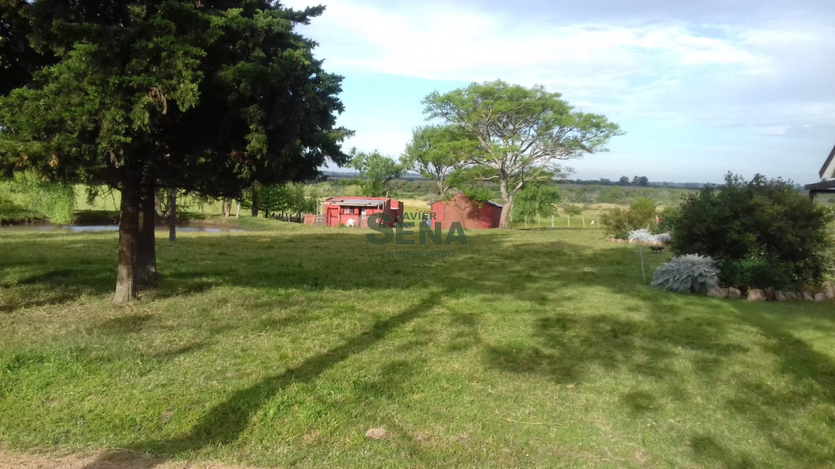 Venta de Chacra Ruta 39, a pocos kmt. de Maldonado , 8 Hectareas y media - GoPunta - Portal Inmobiliario de Punta del Este - Maldonado