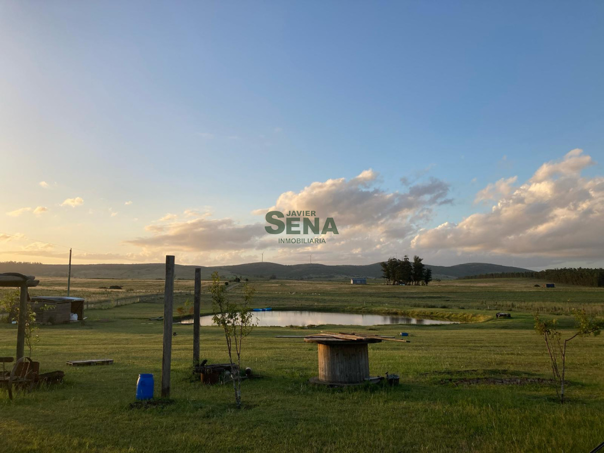 Venta de chacra san carlos, con casa para vivir cerca de la ciudad. - GoPunta - Portal Inmobiliario de Punta del Este - Maldonado
