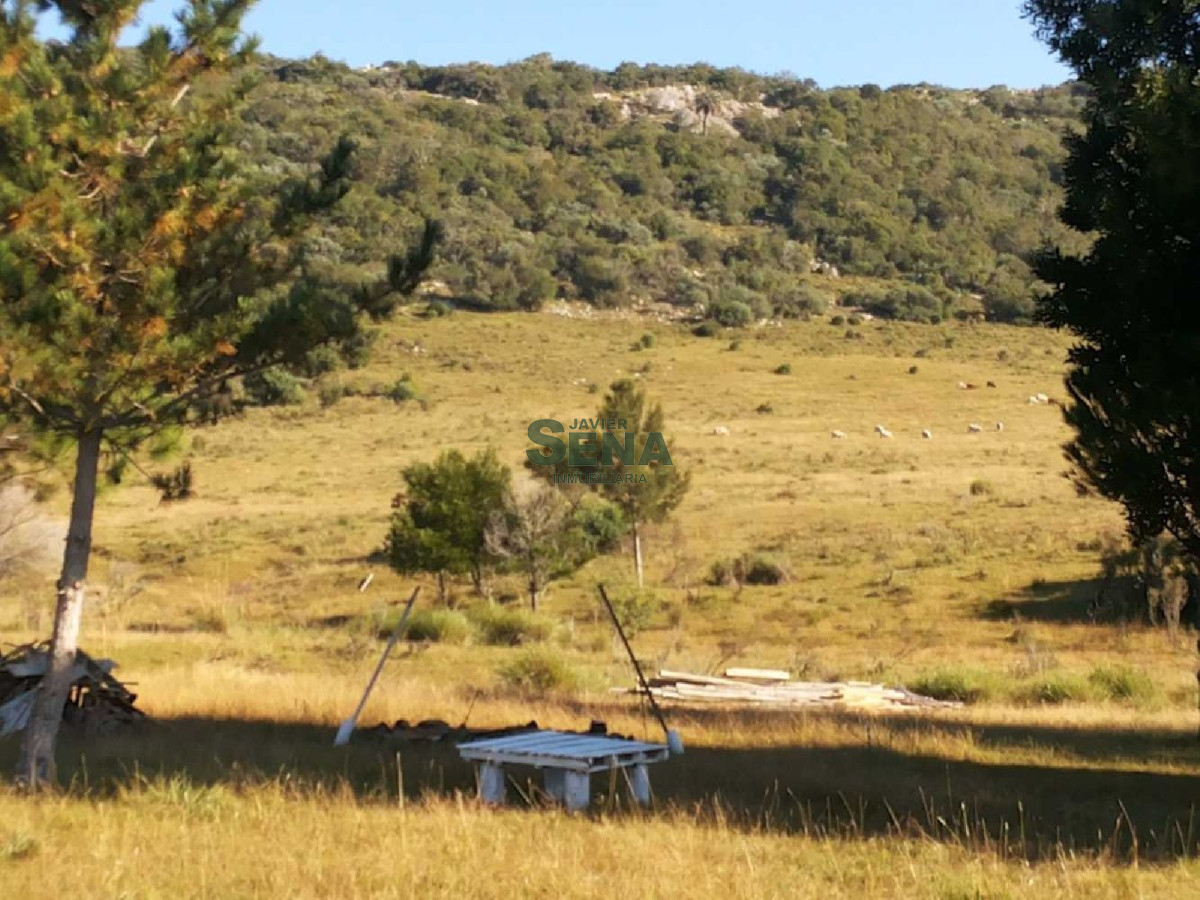 Venta de chacra en Sierra de los Caracoles, 5 has. con muy linda edificacion. - GoPunta - Portal Inmobiliario de Punta del Este - Maldonado