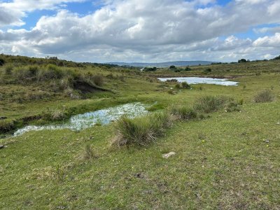 Venta de chacra en Carapé con tajamar, 5 hectareas, muy lindo lugar. 