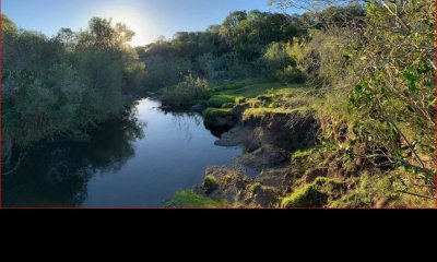 Venta de chacras en ruta 109, son chacras de 5 hectareas, con camino y buen acceso.