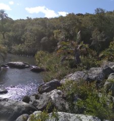 Venta de chacra en la Barra, 16 hectareas con arroyo y buen acceso.