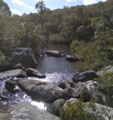 Venta de chacra en las cañas, 10 hectareas con cañada y mejoras.