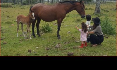 Venta de chacra en Jose Ignacio, 3 hectareas con buen acceso y lindas vistas.