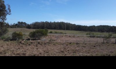 Venta de chacra en Cabo Polonio, 10 hectareas sobre ruta 10, a metros del mar.