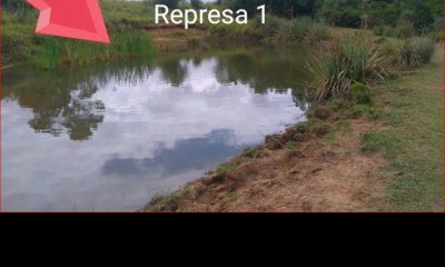 Venta de chacra en rocha, 6 hectareas.