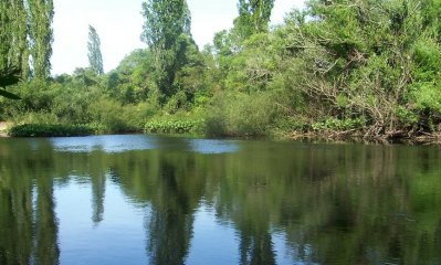 Venta de chacra en San Carlos, 5 Hectareas, con arroyo, arbolados, sobre ruta, para fraccionar.