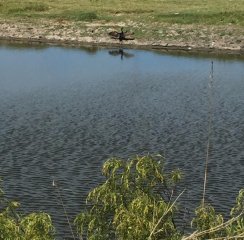 Venta de chacra en Laguna del Sauce, 5 hectareas cerca del mar.