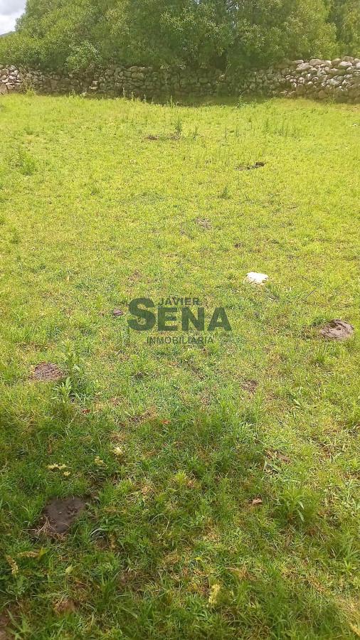 Venta de campo en Ruta 39, de 65 hectáreas ganadero forestal. - GoPunta - Portal Inmobiliario de Punta del Este - Maldonado