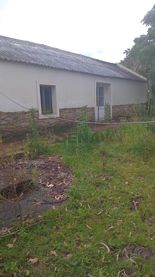 Venta de campo en Ruta 39, de 65 hectáreas ganadero forestal. - GoPunta - Portal Inmobiliario de Punta del Este - Maldonado