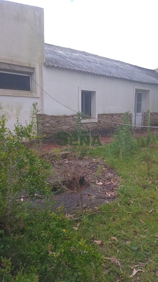 Venta de campo en Ruta 39, de 65 hectáreas ganadero forestal. - GoPunta - Portal Inmobiliario de Punta del Este - Maldonado