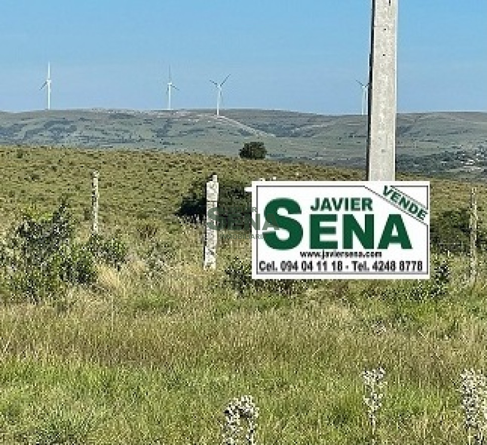 Venta de campo en Ruta 39, de 65 hectáreas ganadero forestal. - GoPunta - Portal Inmobiliario de Punta del Este - Maldonado