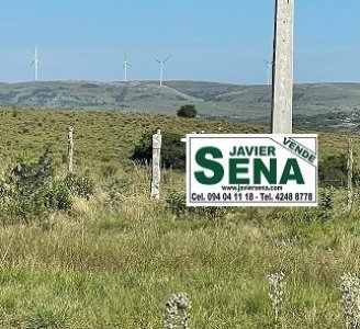 Venta de campo en Ruta 39, de 65 hectáreas ganadero forestal.