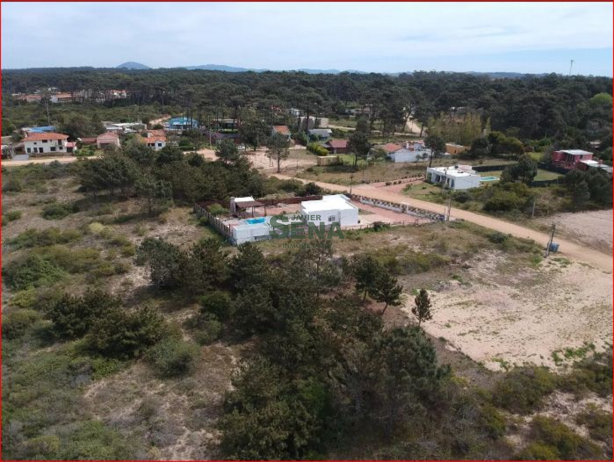 Tio Tom - GoPunta - Portal Inmobiliario de Punta del Este - Maldonado