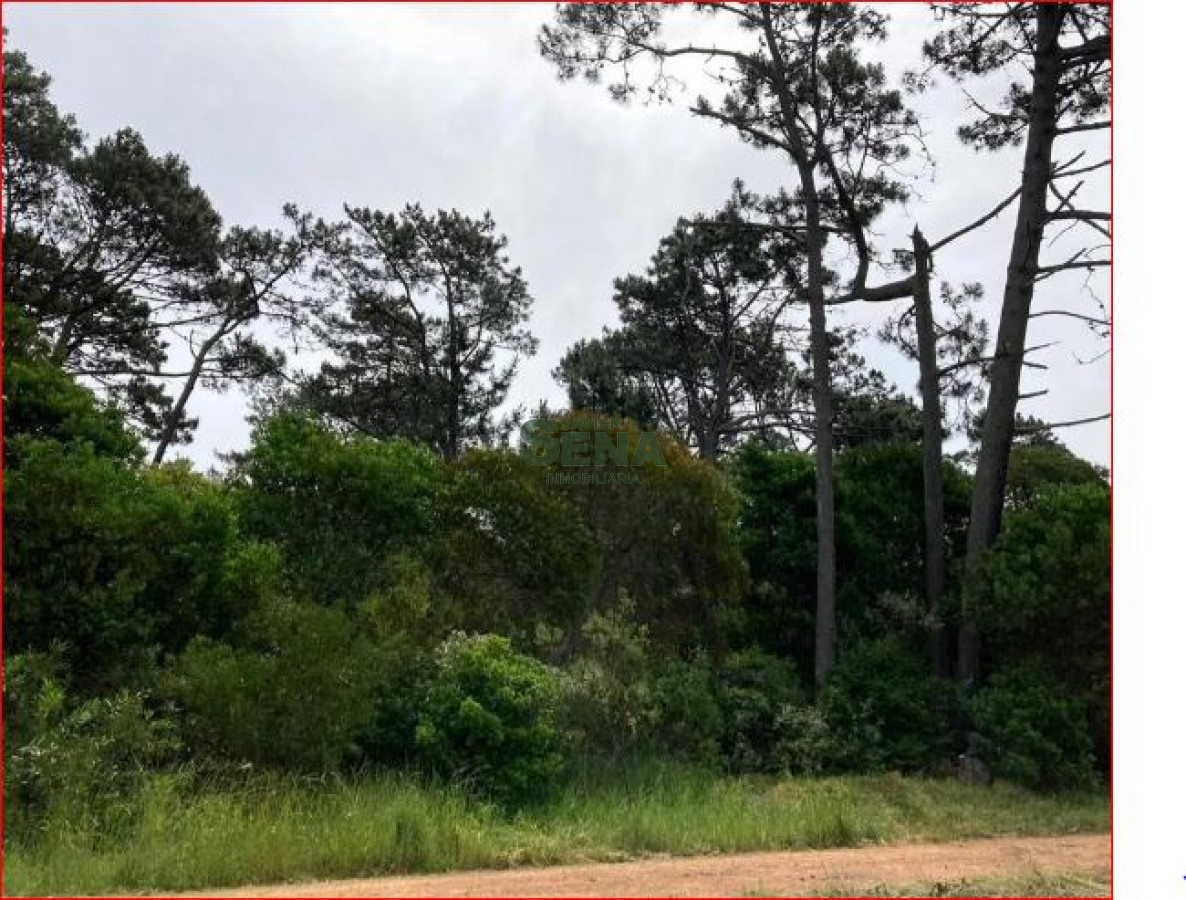 Ocean Park - GoPunta - Portal Inmobiliario de Punta del Este - Maldonado