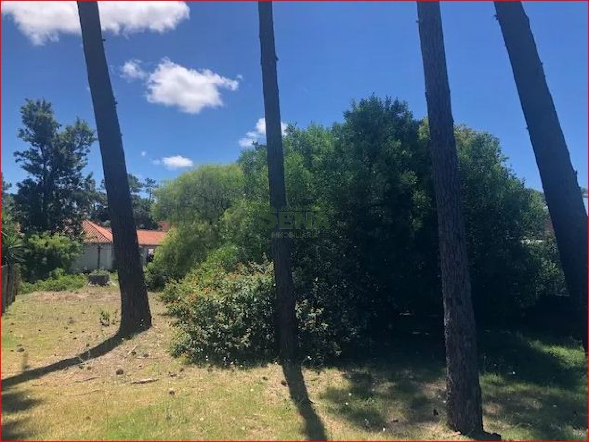 San Rafael - GoPunta - Portal Inmobiliario de Punta del Este - Maldonado