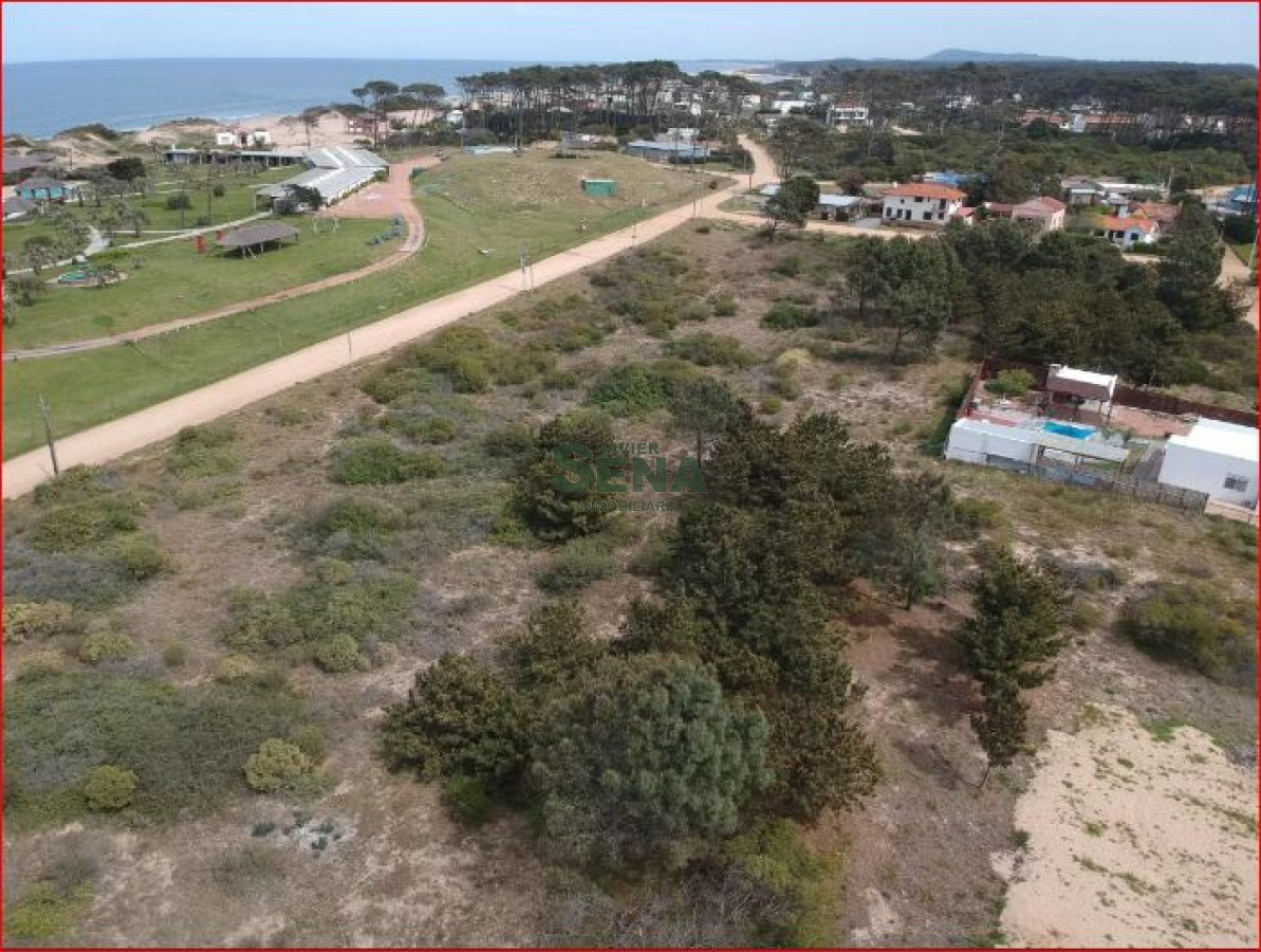 Tio Tom - GoPunta - Portal Inmobiliario de Punta del Este - Maldonado