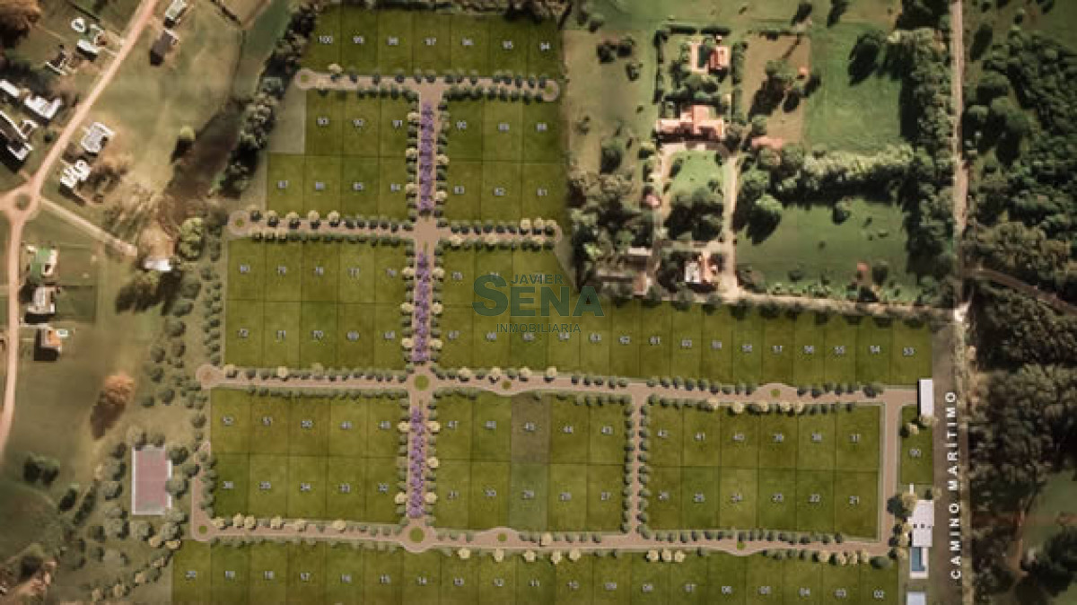 Venta de lotes En el corazón de Punta Ballena, lotes de 1000m2. - GoPunta - Portal Inmobiliario de Punta del Este - Maldonado