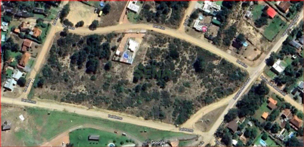 Tio Tom - GoPunta - Portal Inmobiliario de Punta del Este - Maldonado