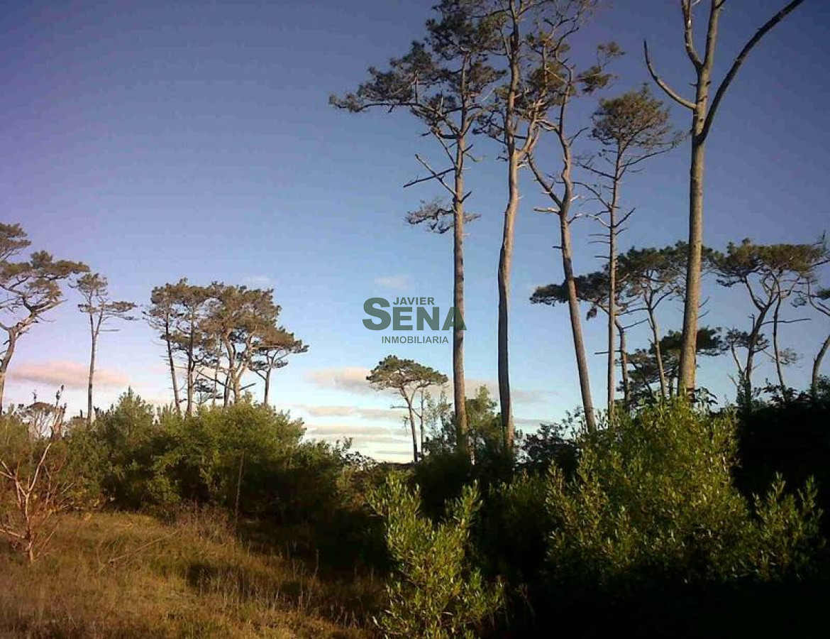 Venta,  Gran terreno con frente a importante avenida
