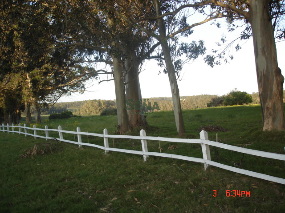 La Barra - GoPunta - Portal Inmobiliario de Punta del Este - Maldonado