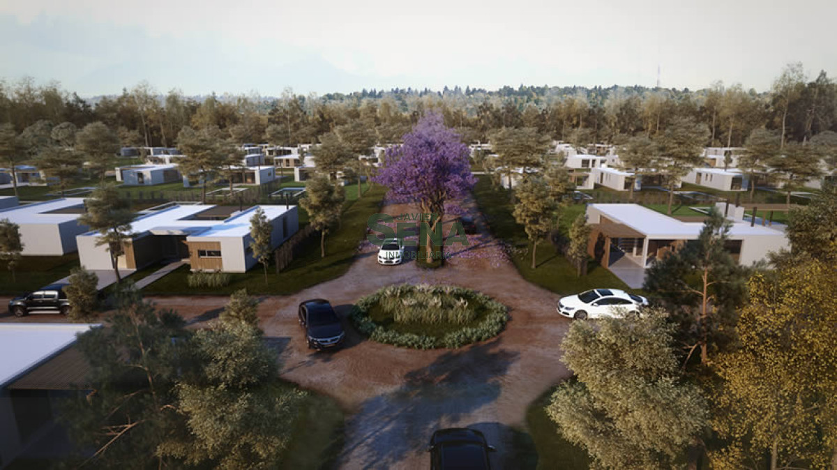 Venta de lotes En el corazón de Punta Ballena, lotes de 1000m2. - GoPunta - Portal Inmobiliario de Punta del Este - Maldonado