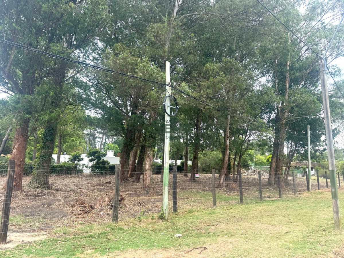 Venta terreno de más de 2300 m2, zona de playa brava. - GoPunta - Portal Inmobiliario de Punta del Este - Maldonado