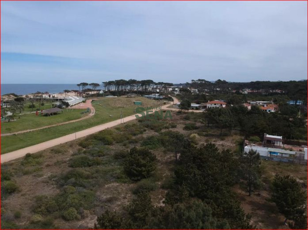 Tio Tom - GoPunta - Portal Inmobiliario de Punta del Este - Maldonado