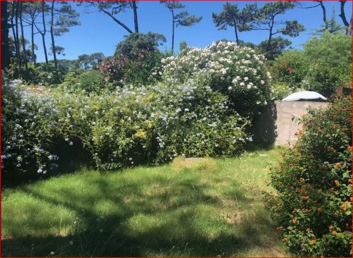 San Rafael - GoPunta - Portal Inmobiliario de Punta del Este - Maldonado