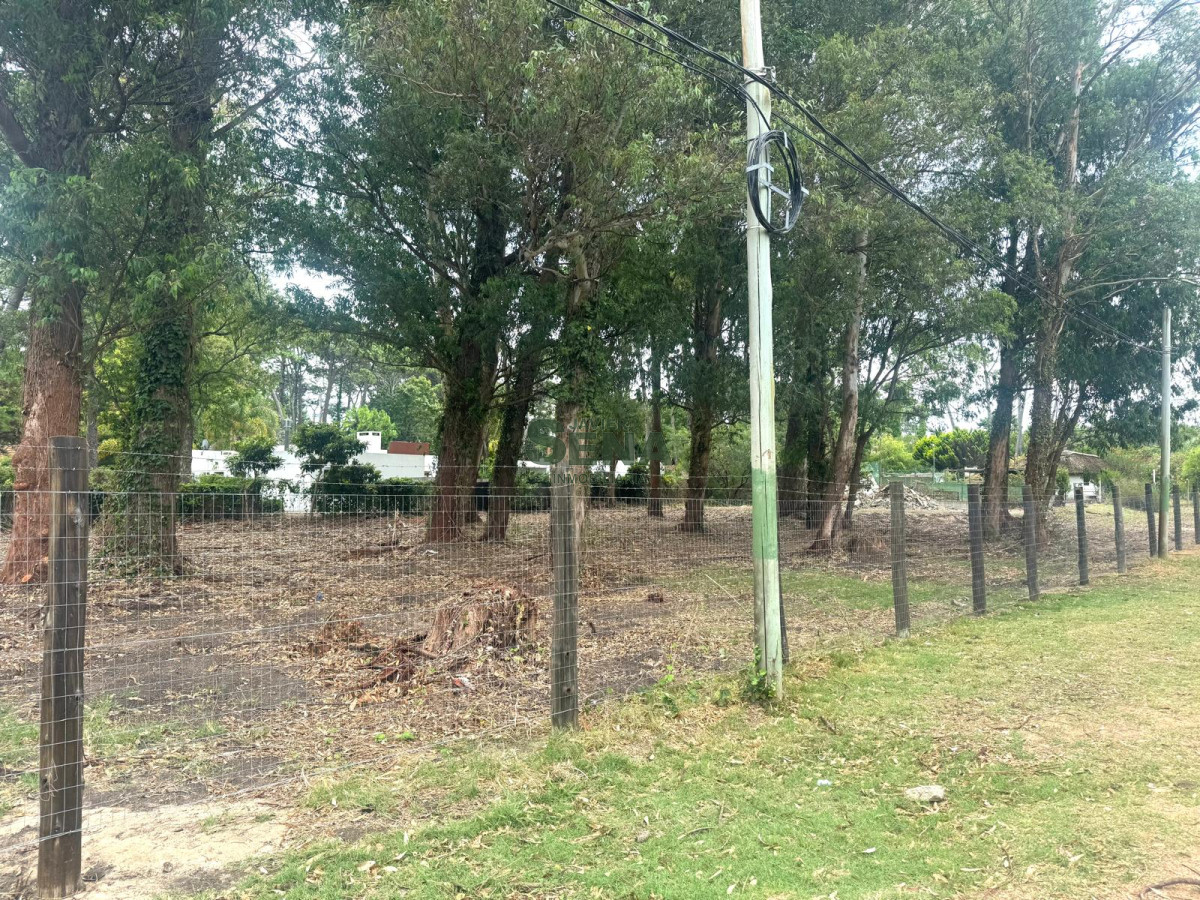 Venta terreno de más de 2300 m2, zona de playa brava. - GoPunta - Portal Inmobiliario de Punta del Este - Maldonado
