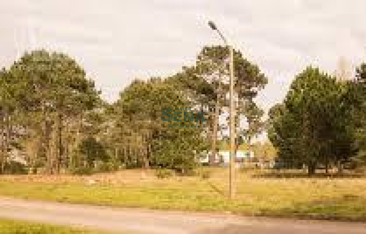 Beverly Hills - GoPunta - Portal Inmobiliario de Punta del Este - Maldonado