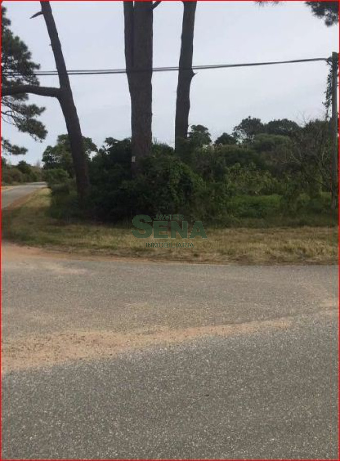 Rincón del Indio - GoPunta - Portal Inmobiliario de Punta del Este - Maldonado