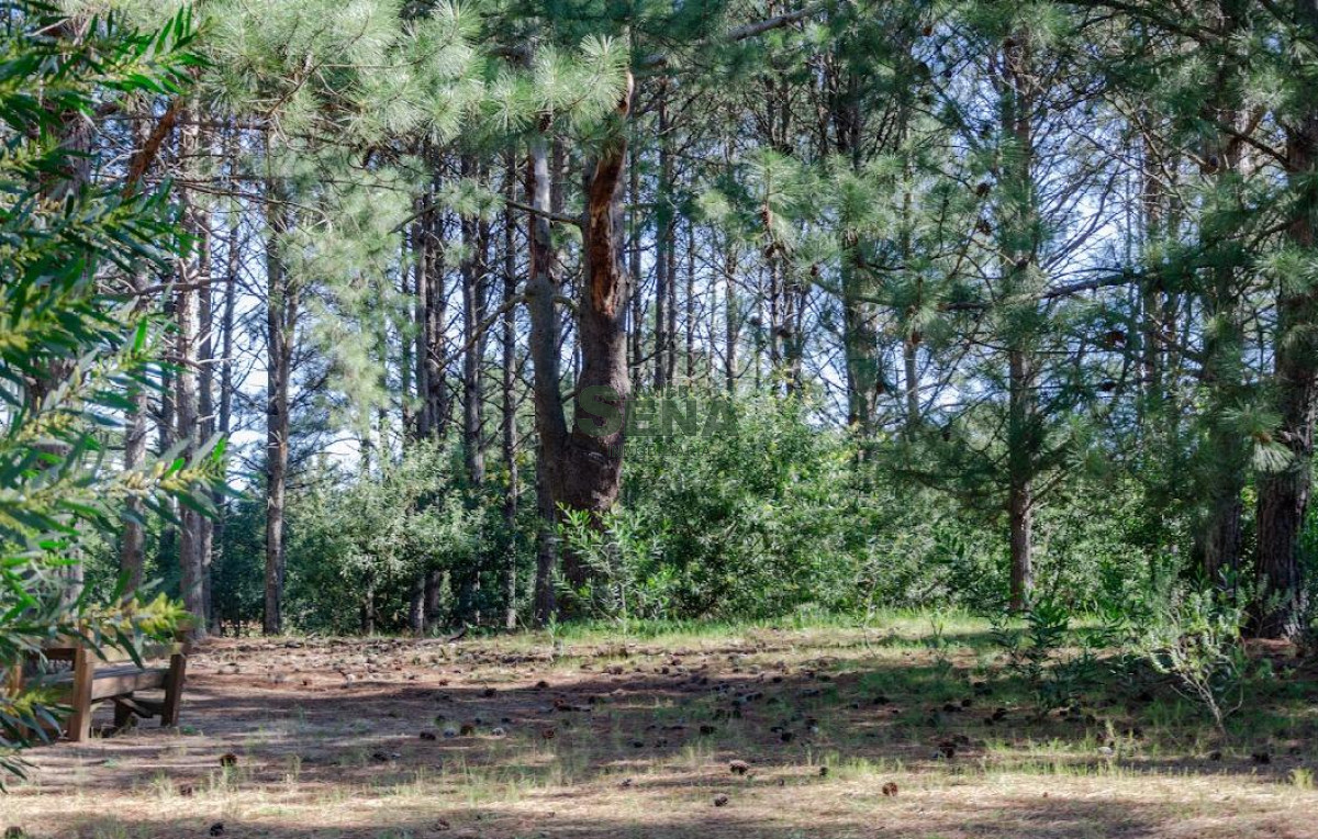 Venta de lote en complejo Veramansa en zona lago, lotes a pocas cuadras del Mar. - GoPunta - Portal Inmobiliario de Punta del Este - Maldonado