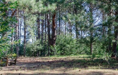 Venta de lote en complejo Veramansa en zona lago, lotes a pocas cuadras del Mar.