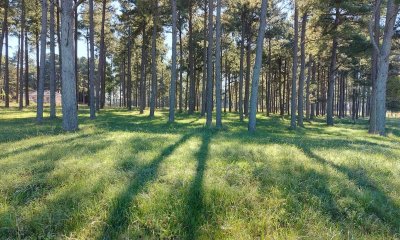 Venta de lote en chacras del Pinar, 1000m2 de tierra.