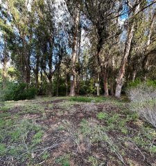 Venta de Tierra en Parque Burnet, 3050m2 de terreno para construir en P.H.