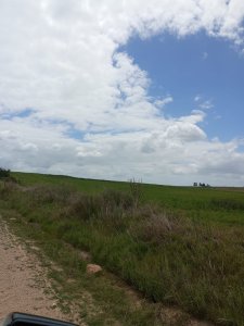campo agrícola de 150 hectáreas en las afueras de florida - iav49832p