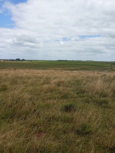 campo agrícola de 150 hectáreas en las afueras de florida - iav49832p
