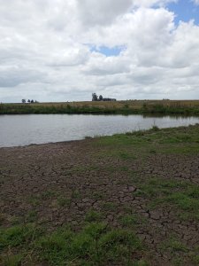 campo agrícola de 150 hectáreas en las afueras de florida - iav49832p