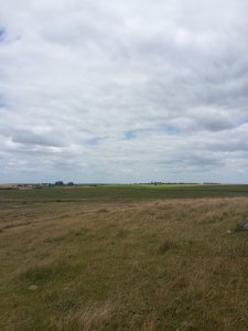 campo agrícola de 150 hectáreas en las afueras de florida - iav49832p