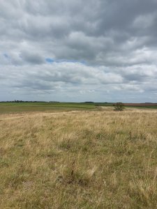 campo agrícola de 150 hectáreas en las afueras de florida - iav49832p