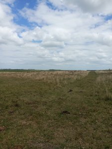 campo agrícola de 150 hectáreas en las afueras de florida - iav49832p