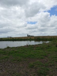 campo agrícola de 150 hectáreas en las afueras de florida - iav49832p