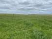 Foto 25