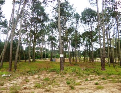 lote de 1200 m2 apto para construir 4 casas, frente a 2 calles - iav49281t