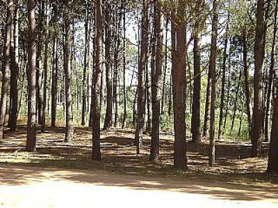 lote de 1200 m2 apto para construir 4 casas, frente a 2 calles - iav49281t