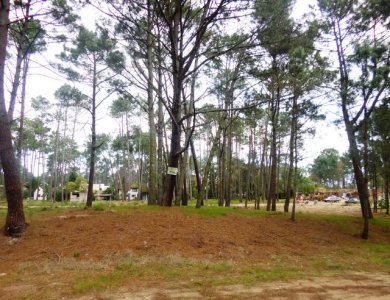 lote de 1200 m2 apto para construir 4 casas, frente a 2 calles - iav49281t