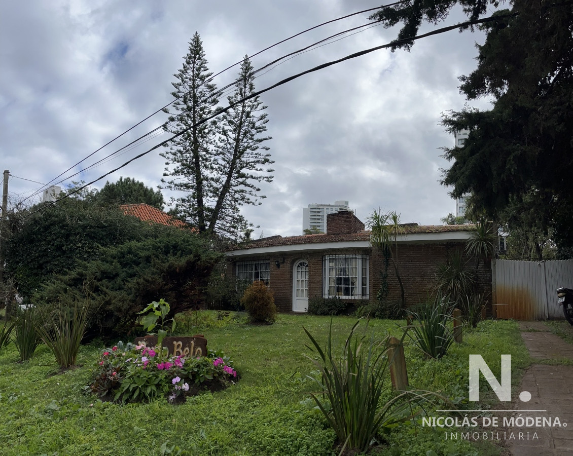Aidy Grill - GoPunta - Portal Inmobiliario de Punta del Este - Maldonado